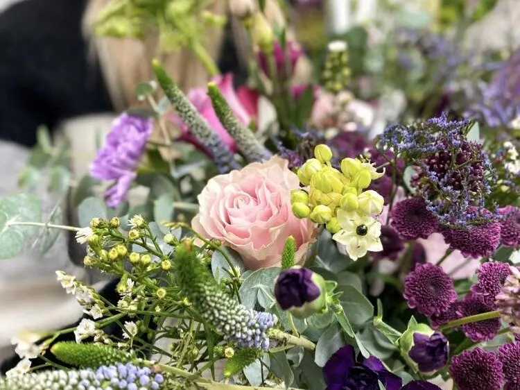 1. Izbira šopka in velikosti