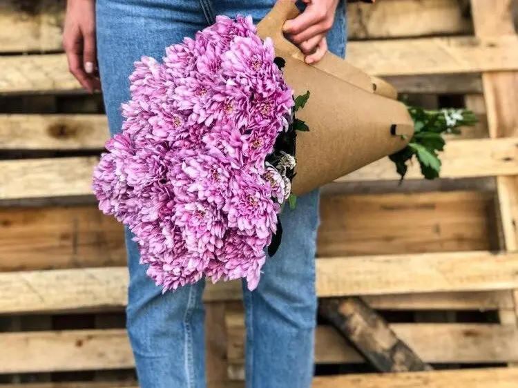 Krizantema - zvestobo, optimizem, veselje in dolgo življenje.