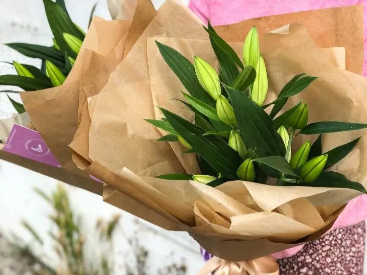 Lilije. Ali poznate njihov pomen?