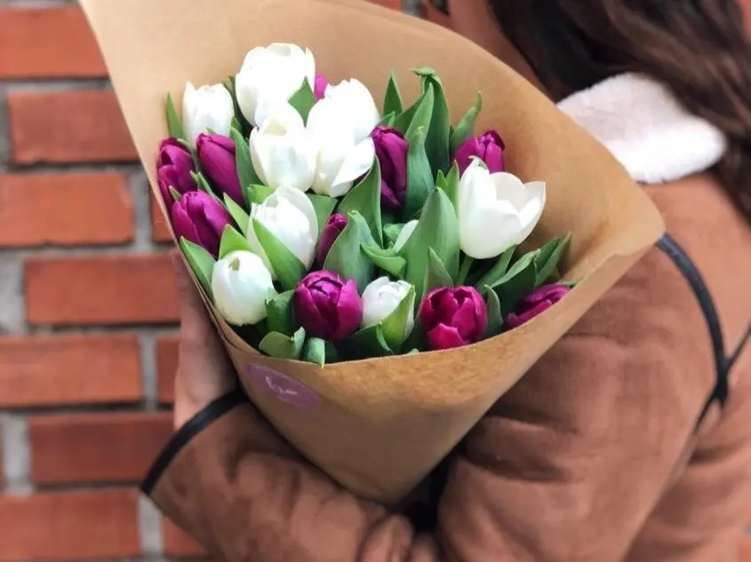 Tulipani - najbolj priljubljena spomladanska cvetnica